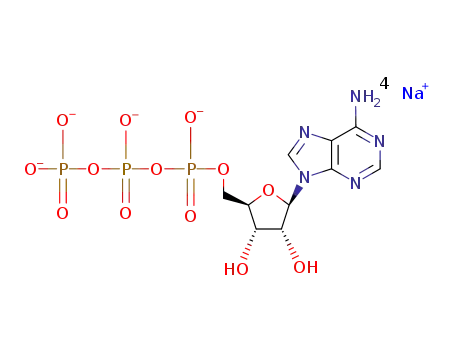 adenosine 5'-triphosphate